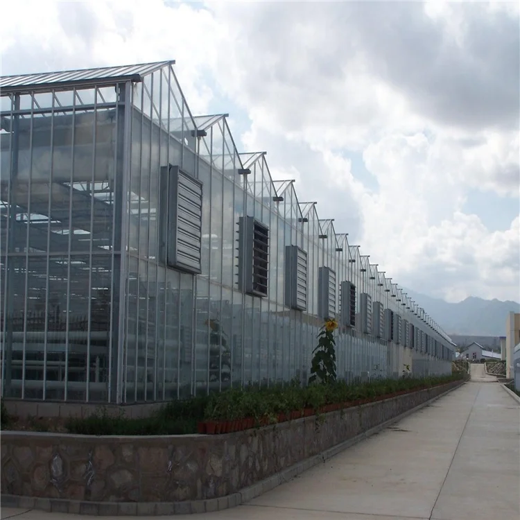 One one 100% automatic light deprivation blackout greenhouse Medical Plant Growing Fully Auto greenhouses