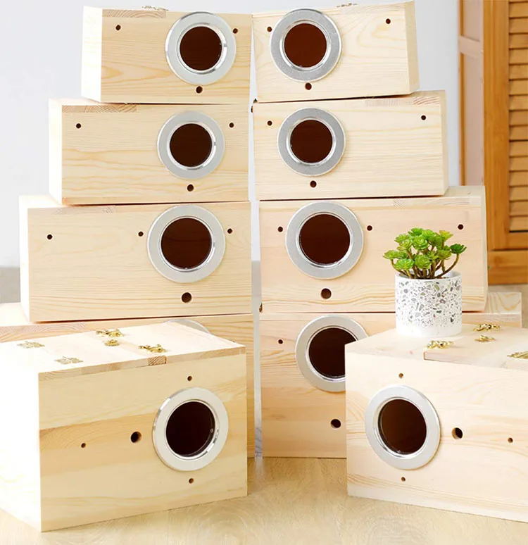 Creative  Style Modern Decoration  Parrot Bird Cage