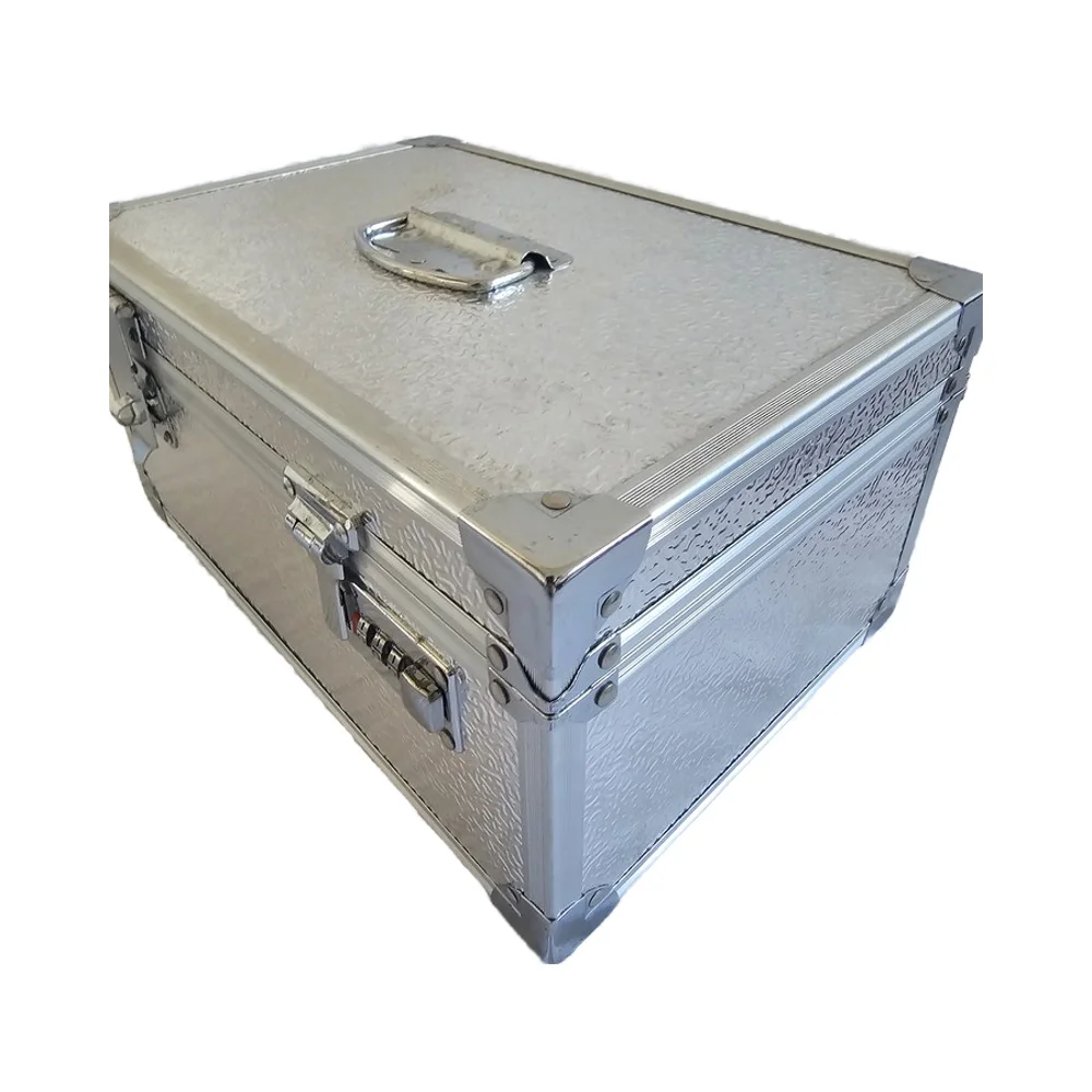 New Design Double Lock Security Storage Customizable Model Storage Silver Security Box with OEM Support