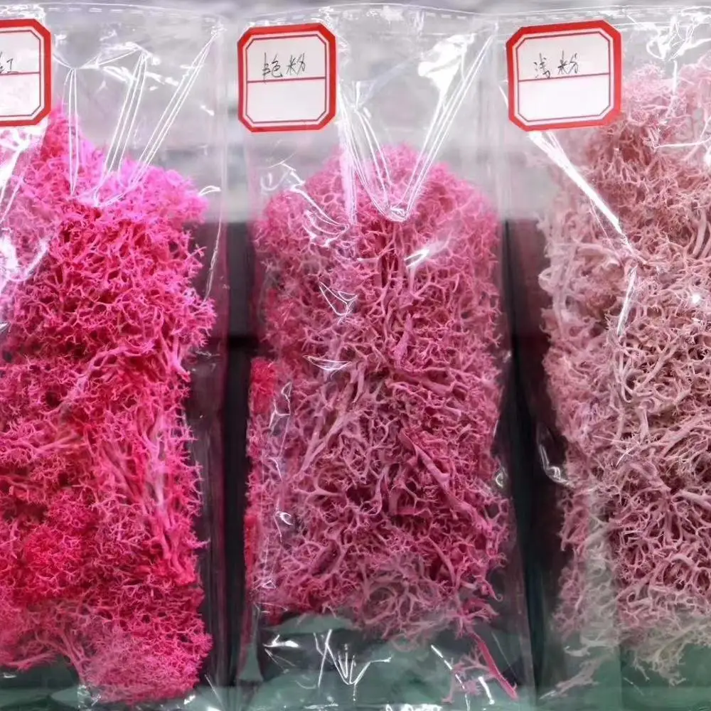 
Chinese supplier new products preserved Moss flower for Wall decoration 