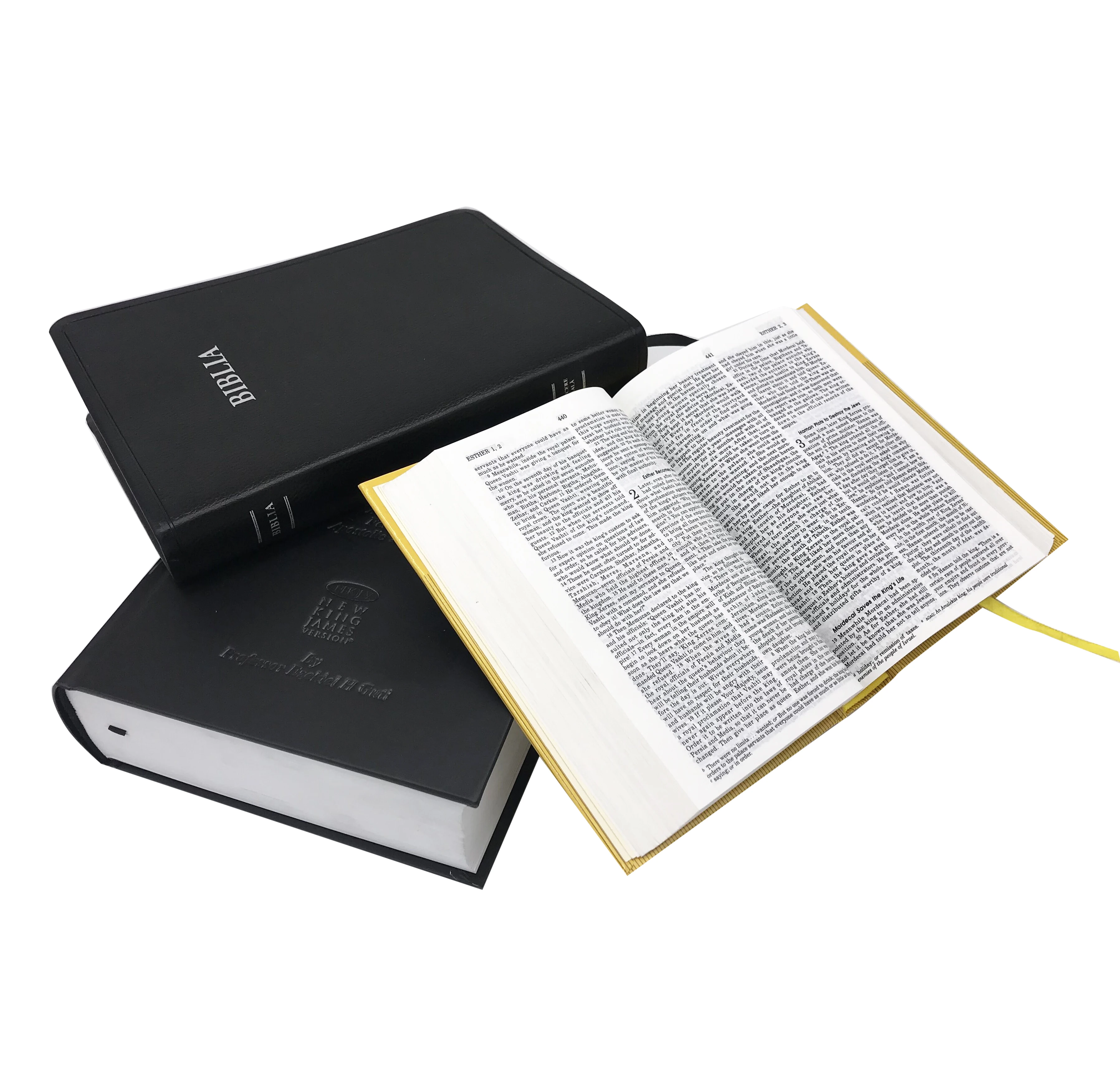Factory customized hardcover holy dictionary round ridge bible book printing