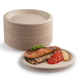Biodegradable Compostable Eco Friendly Disposable Bagasse Pulp Takeaway  Paper Custom To Go Plates