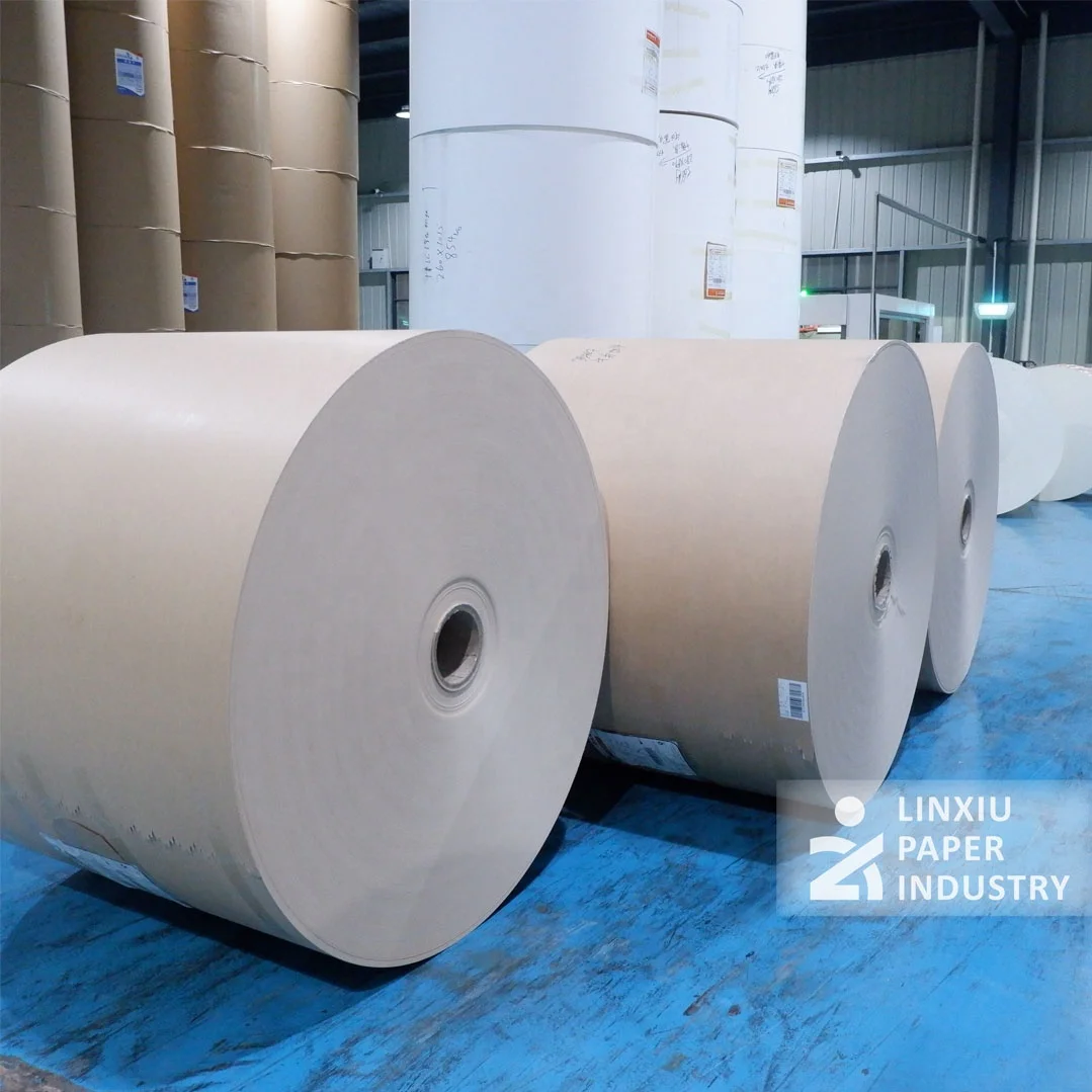 High strength 280 gsm double PE coated paper roll for sturdy paper cups and lunch boxes