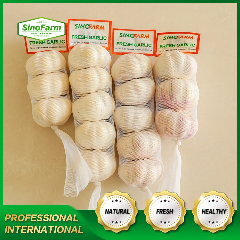Fresh garlic Chinese new crop 2021 high quality wholesale garlic normal white alho fresco ajo from garlic exporters China