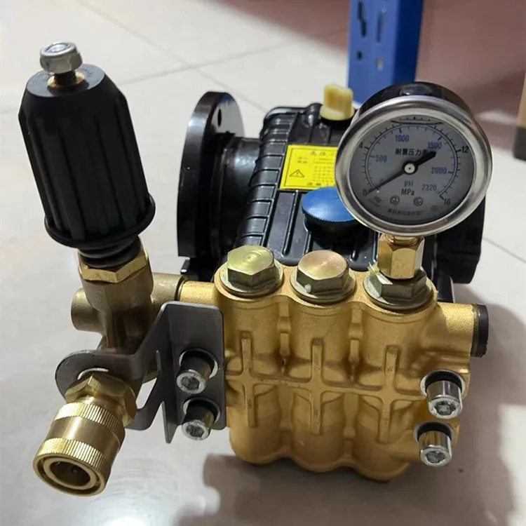 Water Injection Pump For SANY Concrete parts - Water Pump A220301000133 QL-80 B