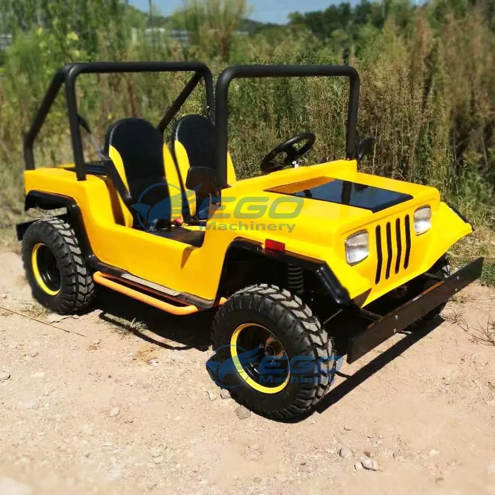 Buggy Go Karts for Kids 2 Seater 2024 New Design Motor Battery Electric Karting Car Children Go Kart Amusement Park Equipment