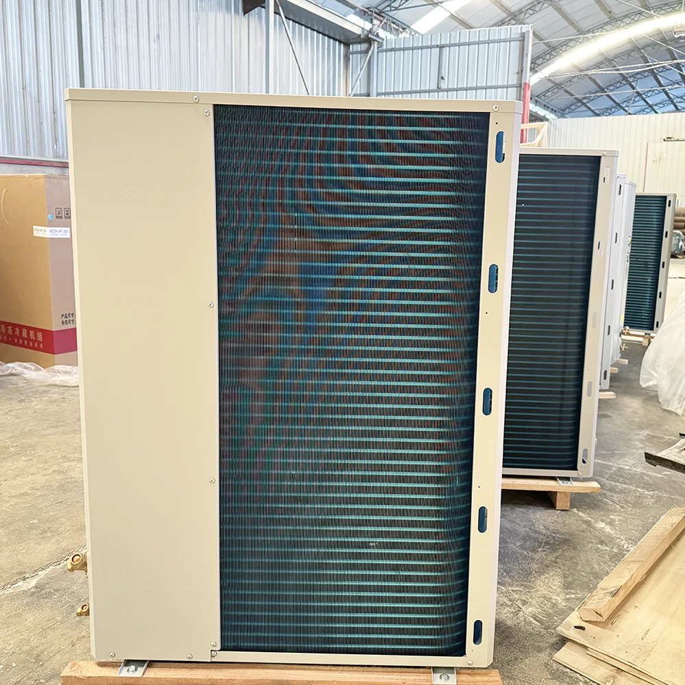 HELENG Condensing Unit For Cold Rooms All-in-One OEM blast chiller Integrated refrigeration 5P Monoblock Refrigeration Equipment