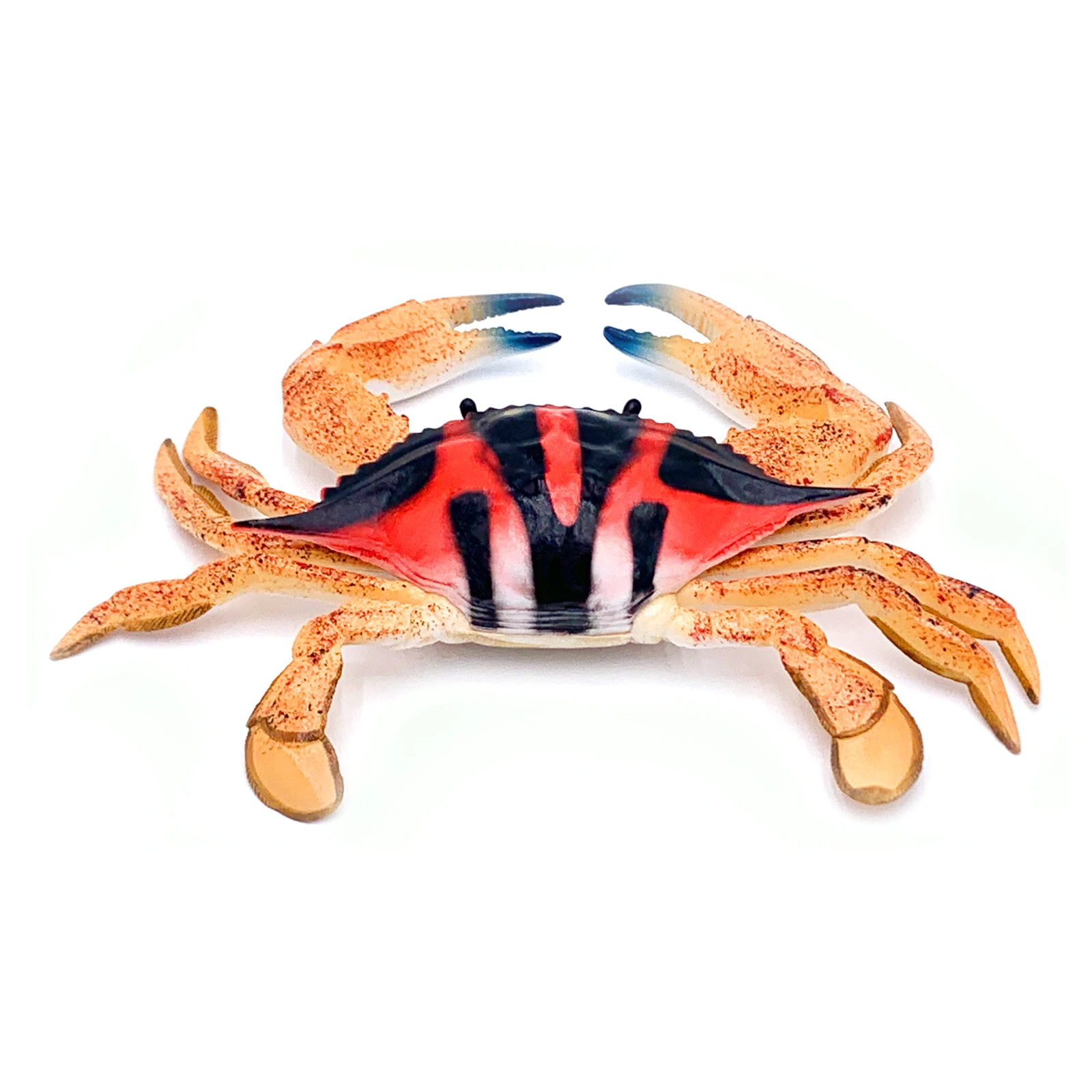 Realistic High-Quality PVC Plastic Doll Toys For Marine Animals Realistic Eco-friendly Animals Spotted Sea Crab Toys