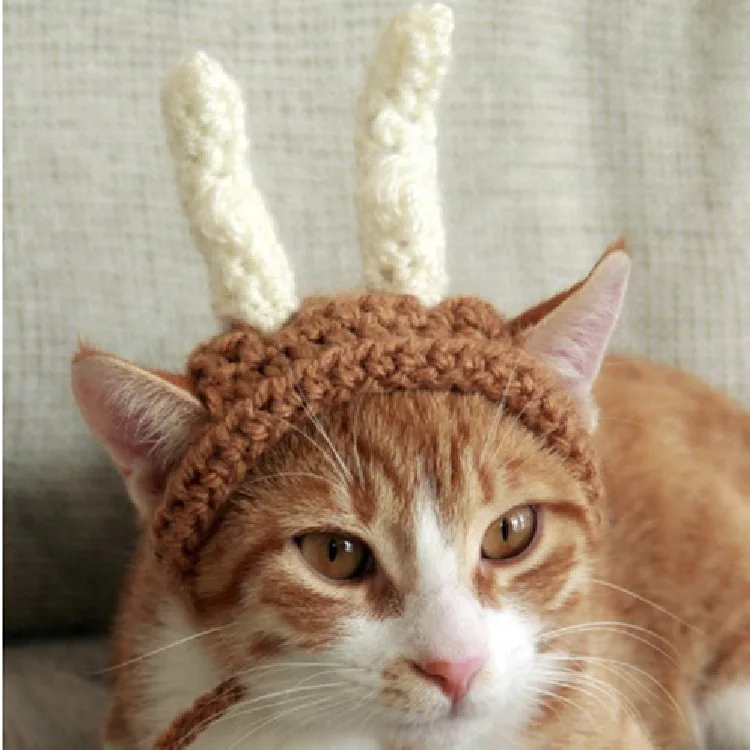 Mini pet hat Funky look custom label logo hat hand-woven knitted beanie pet dog accessory dog bonnet mini hat for pet