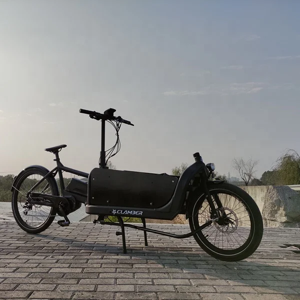 Europe warehouse bicycle Alloy Cargo Bike Electric cargo bike  20' inch tire bicycle cargo etrike adult sports e-bike