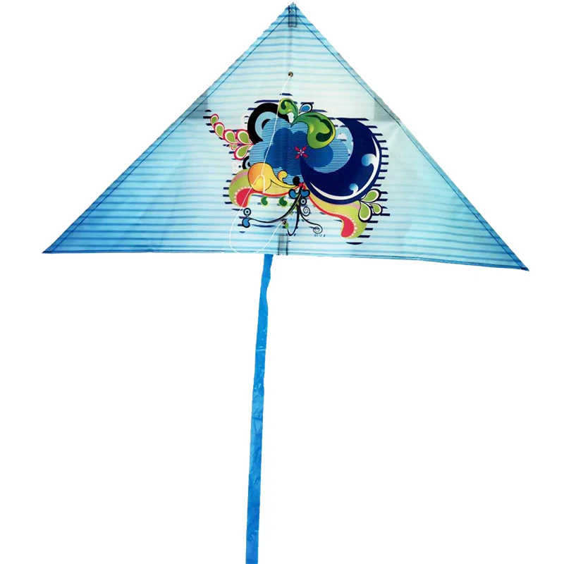 Big colourful delta kite for beach rainbow kites