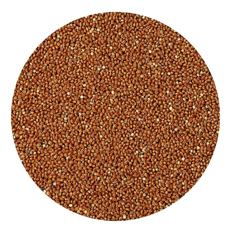 
 Оптовая продажа, без ГМО, органическое зерно пса, красный ПСО  