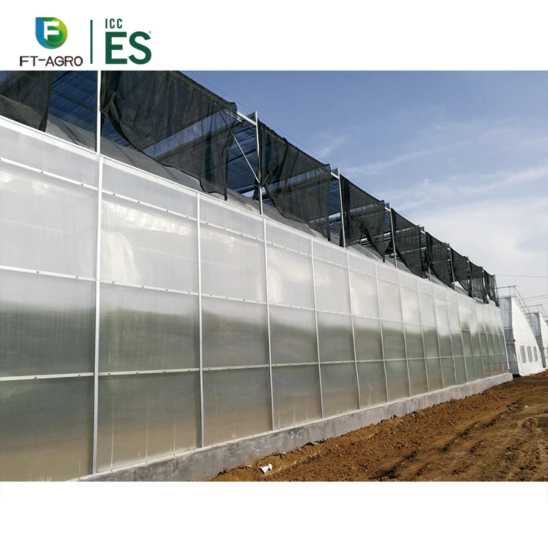 China Good Quality Multi-Span Film Hydroponic System Greenhouse for Strawberry Growing