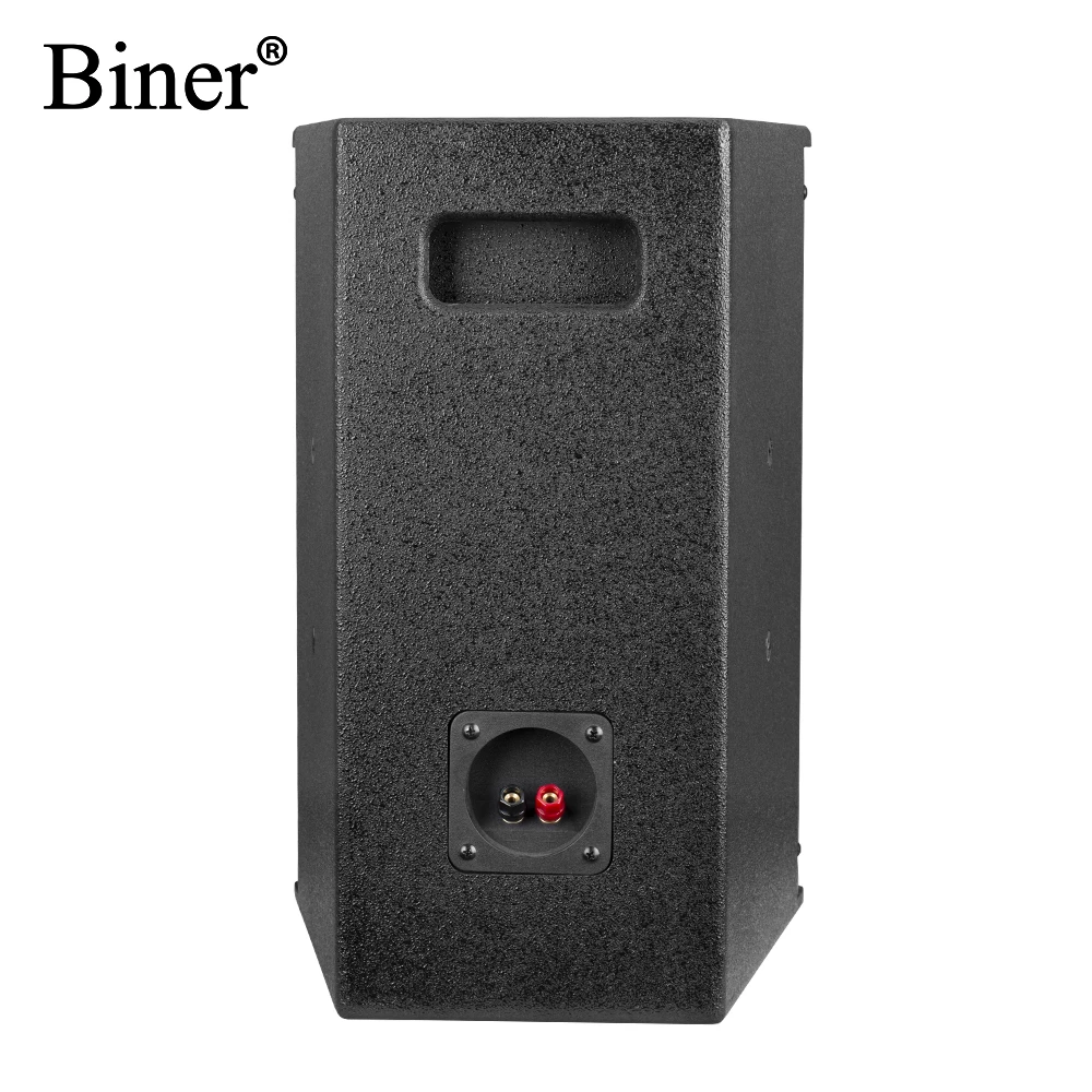 Biner D200 High Quality 10 Inch 100W Professional Audio Sound System Speaker For Family Cinema KTV