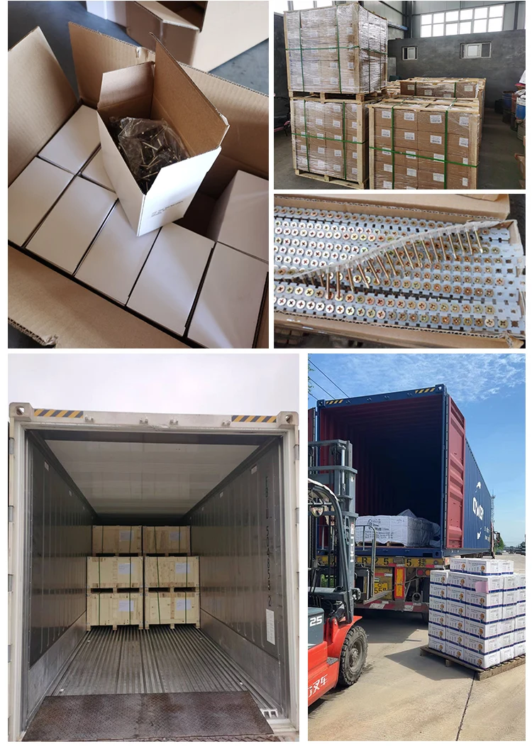 Collated Drywall Screws