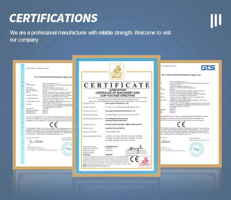 Ce Certified Gas Continuous Potato Chips Frying Machine Onion Fish Pig Skin Frying Line Price