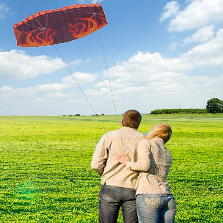 factory dual line power kite sale sport flying stunt kites large show kites