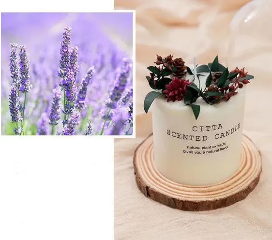 Wholesale Valentines Day Gift Box Set Scented Candle Handmade Dried Fruit Decorative Scented Candles Luxury Candle Dried Flowers