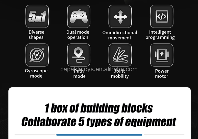 MH666896 detail_02.jpg