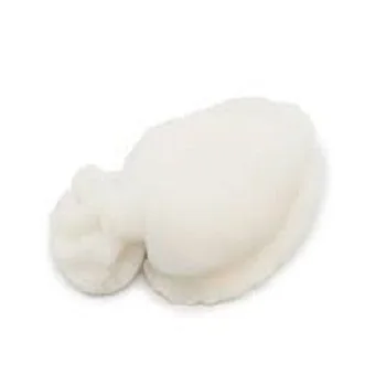 Hot sale Cuttlefish For Low Price
