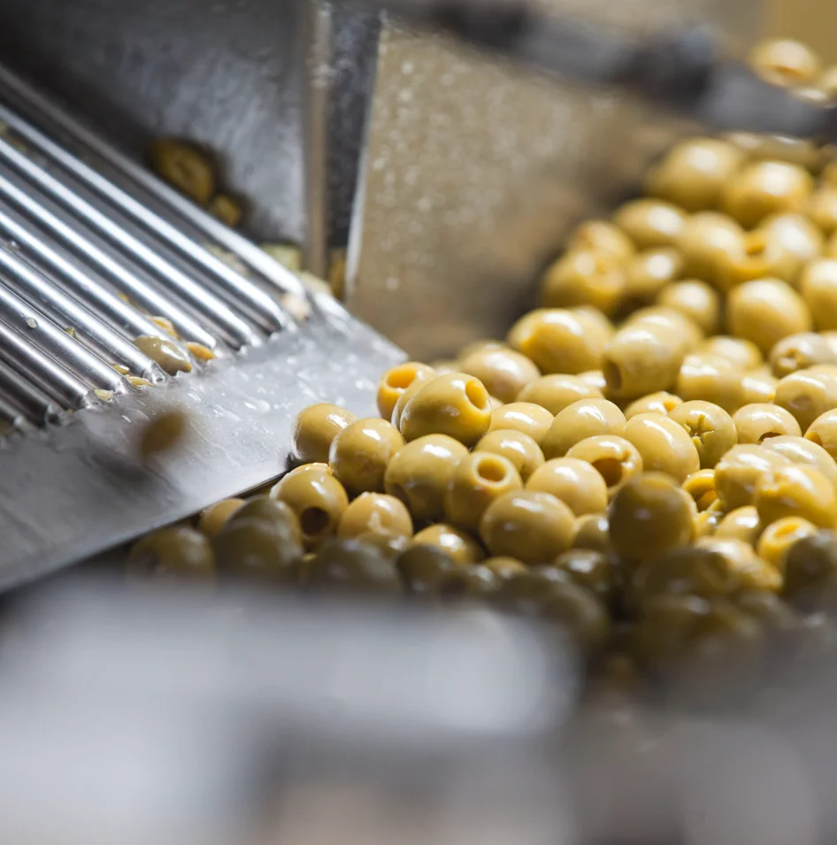 Best Selling Excellent Taste Net Weight 350 Gr Truffle Stuffed Manzanilla Green Olives For Restaurant