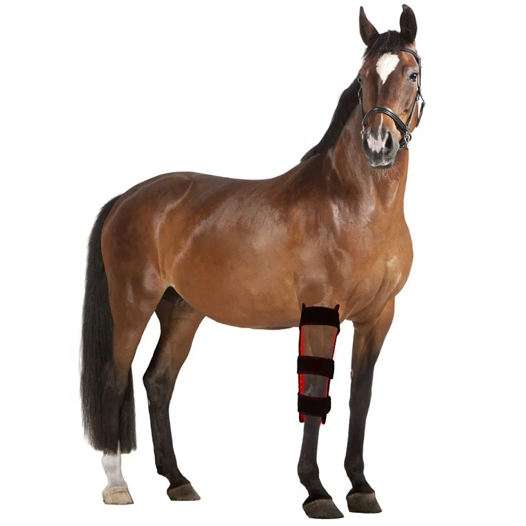 red light led therapy 660nm 850nm red light therapy body wrap for horse