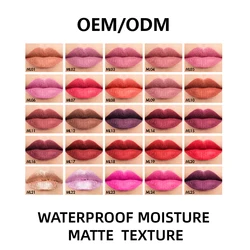 Customize your own private label waterproof vegan matte lipstick without LOGO wholesale cosmetics manufacturers for women