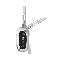 2021 Best Vape Pen Variable Voltage 500 mah Key Shape Battery for CBD Oil Cartridges