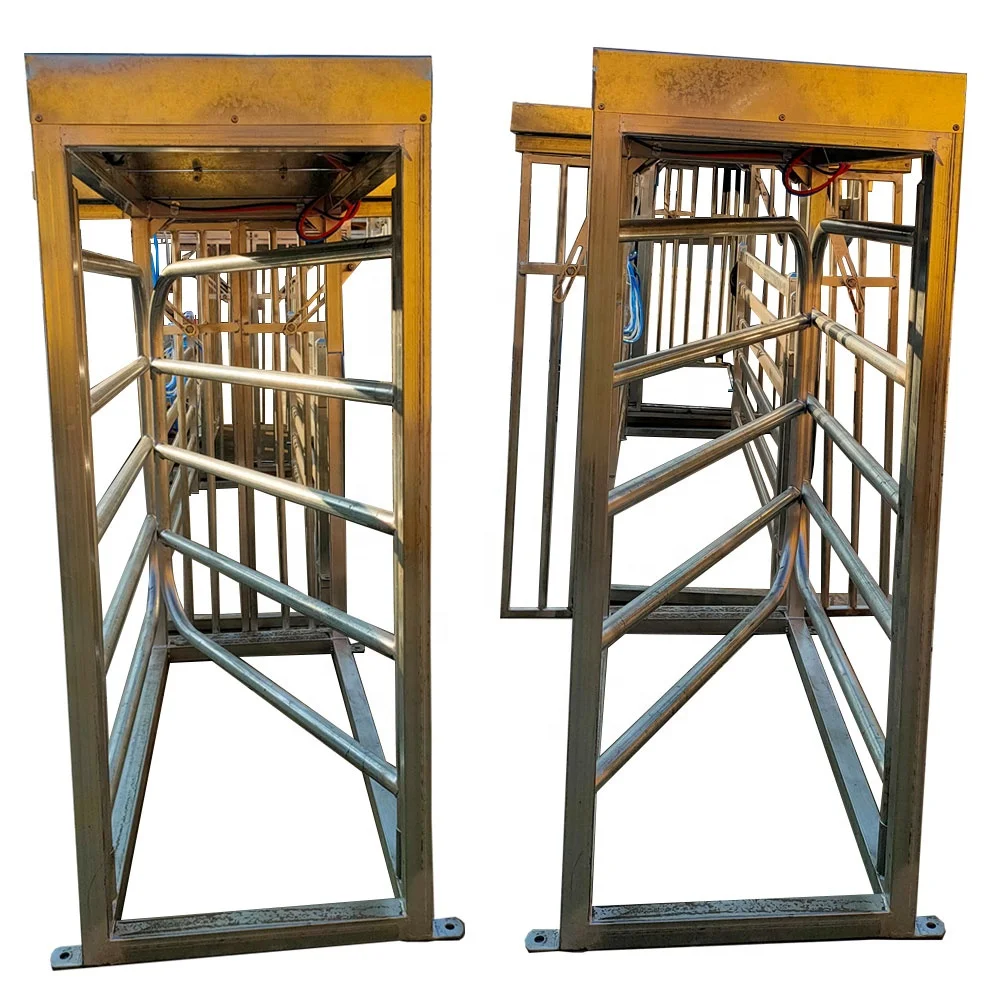 livestock farm equipment full automatic sheep/goat weighing group divider
