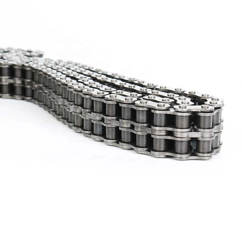 Roller Chain Transmission