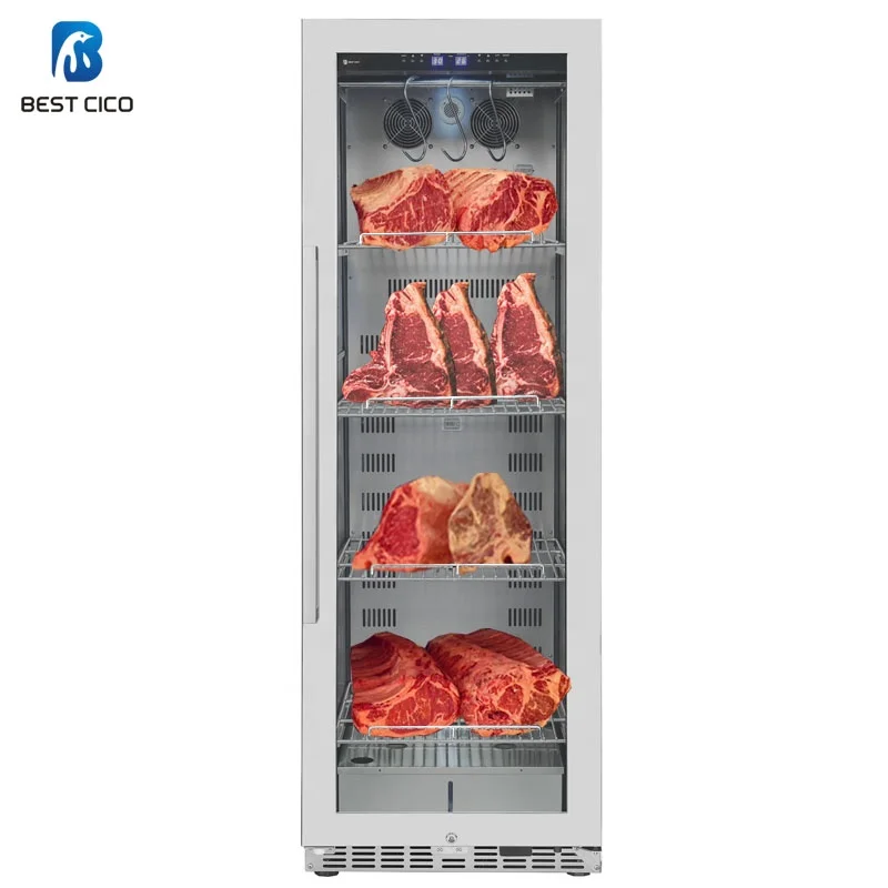 Dry Ager Refrigerator Suppliers Fingerprint-proof 380L Meat Aging Machine Compressor Compact DA-380AS Portable Stainless Steel