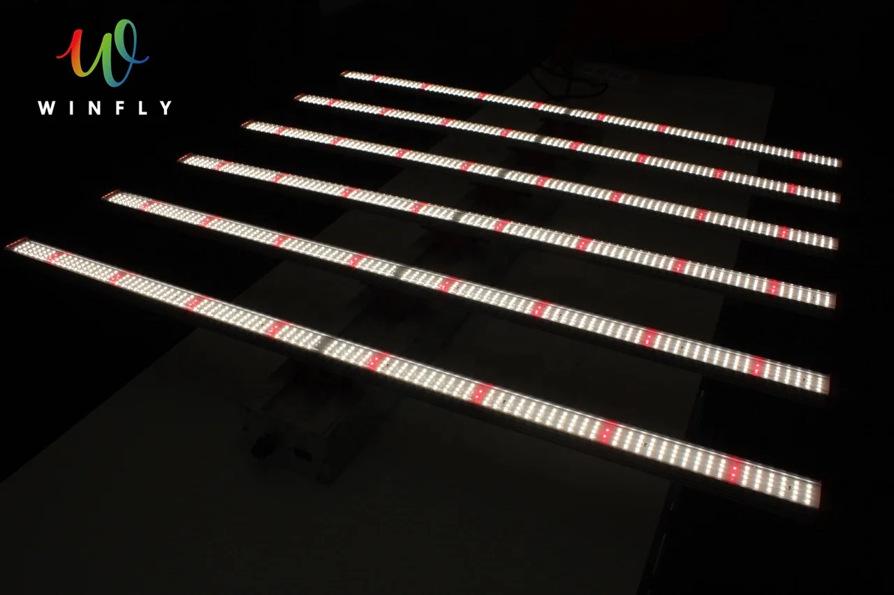 
Fast Installation 2021 Best LED Grow Light 600W Full Spectrum Canada Stock Fast Delivery More Harvests 