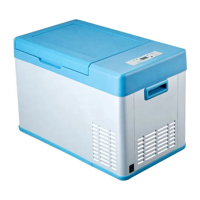 Горячая Распродажа портативный автомобильный Морозильный компрессор 12 В постоянного тока мини-автомобильный холодильник