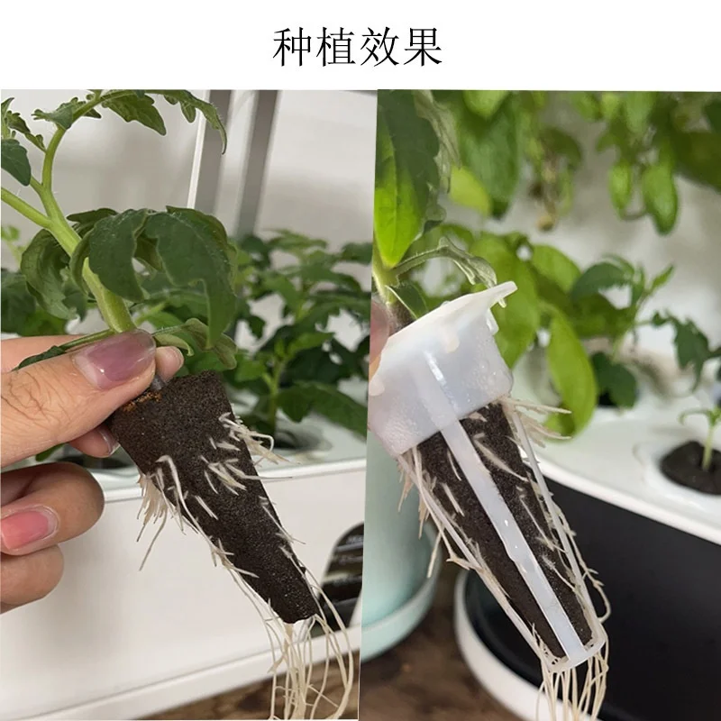 50/bag Seed Starting Plugs Soilless Culture Seedling Block Sponge Biochar Planting Base