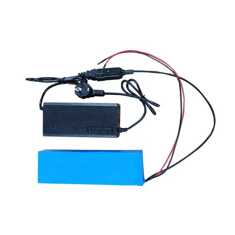 48v 24v 12v 72v 5a 10a chargers for lithium battery