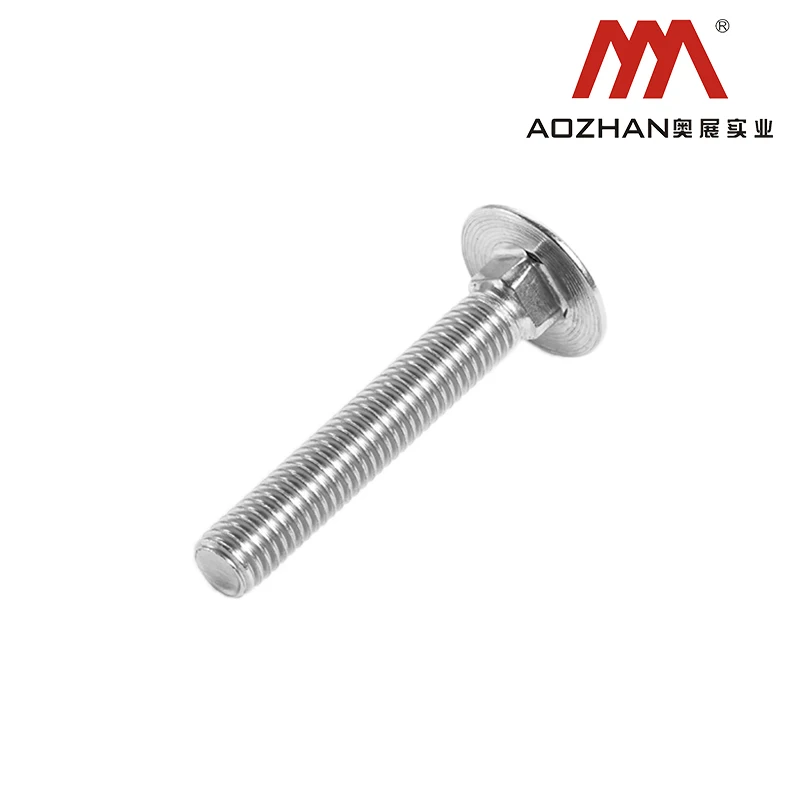 High quality price concessions DIN603 SS304 Coach bolts industrial use Coach  bolts