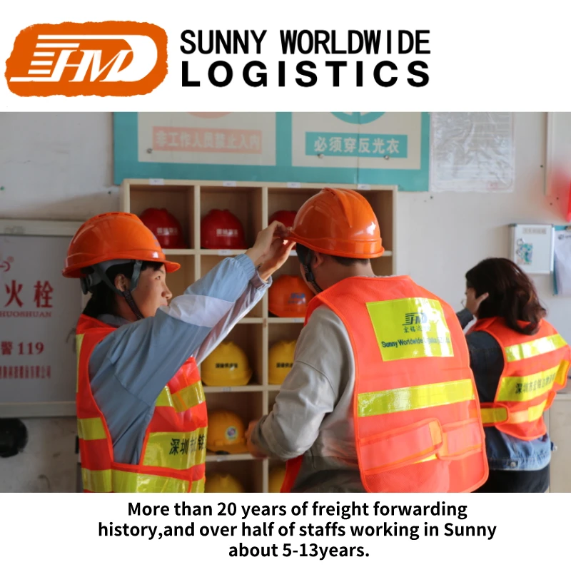 Swwls Shipping Supplies Rates Freight Forwarder DDP Sea Shipping to USA FBA Warehouse