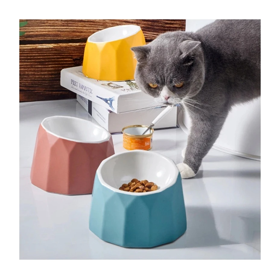 High Pet Bowls Ceramic Protect Neck Vertebra Anti-tipping Cute Ceramic Cat Bowl Inclined