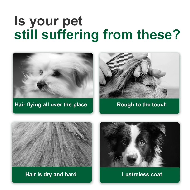 10kg Healthy Natural Promotion Price Organic Delicious Chicken Flavor Premium Dog Food Vitality Fruit Series Whole Food