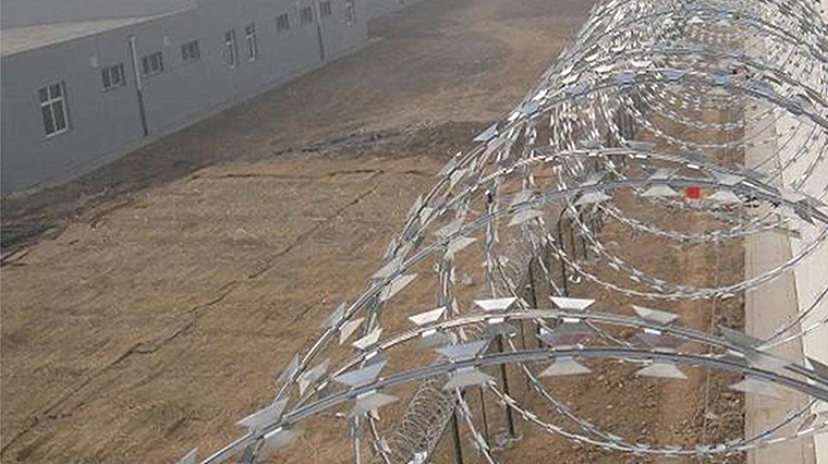 Hot Dipped Galvanized Razor Barbed Wire Low Price Concertina Razor Wire