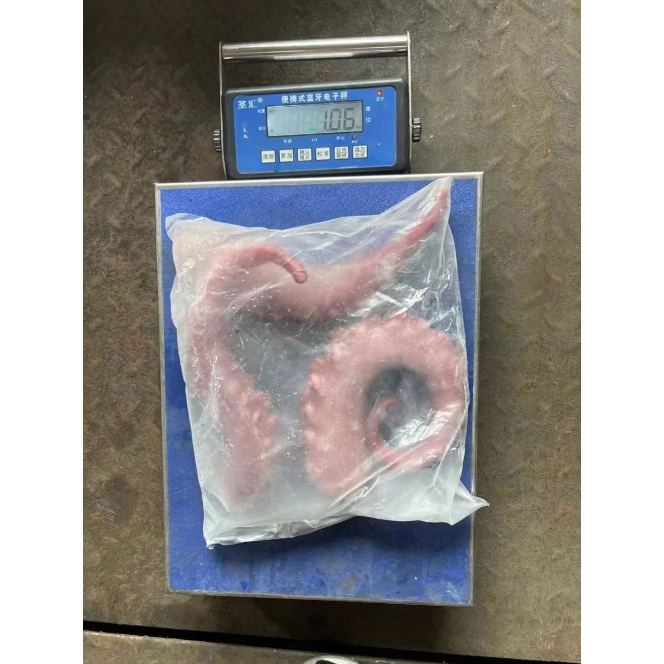 Оптовая продажа, щупальца замороженного кальмара, гигантские щупальца кальмара для рынка