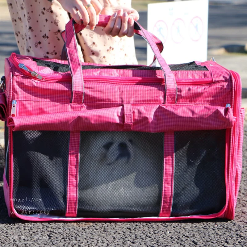 transparent  space capsule  oxford fabric portable pet carrier backpack