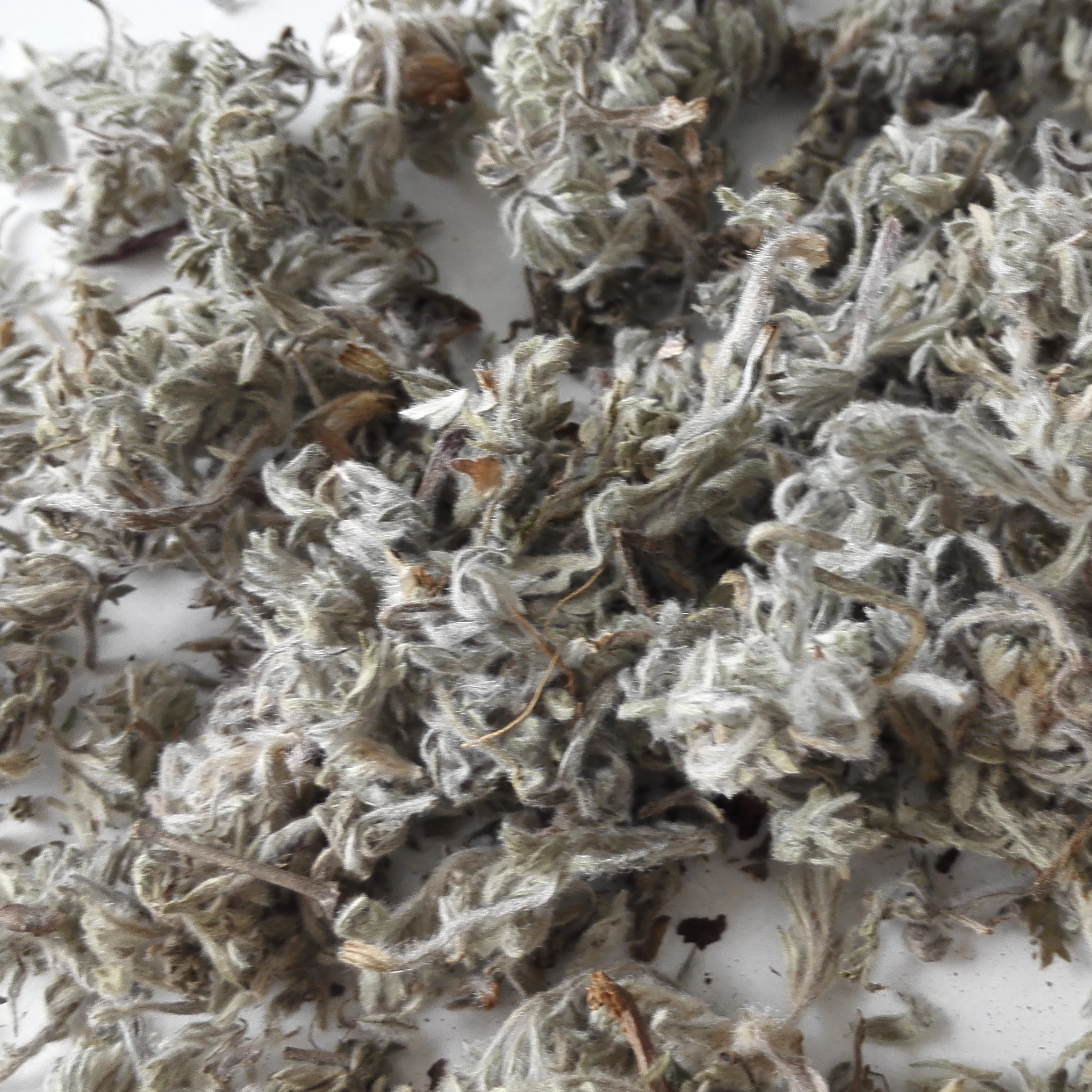 
Capillary Wormwood Flower/Herbal Artemisiae Scopariae 