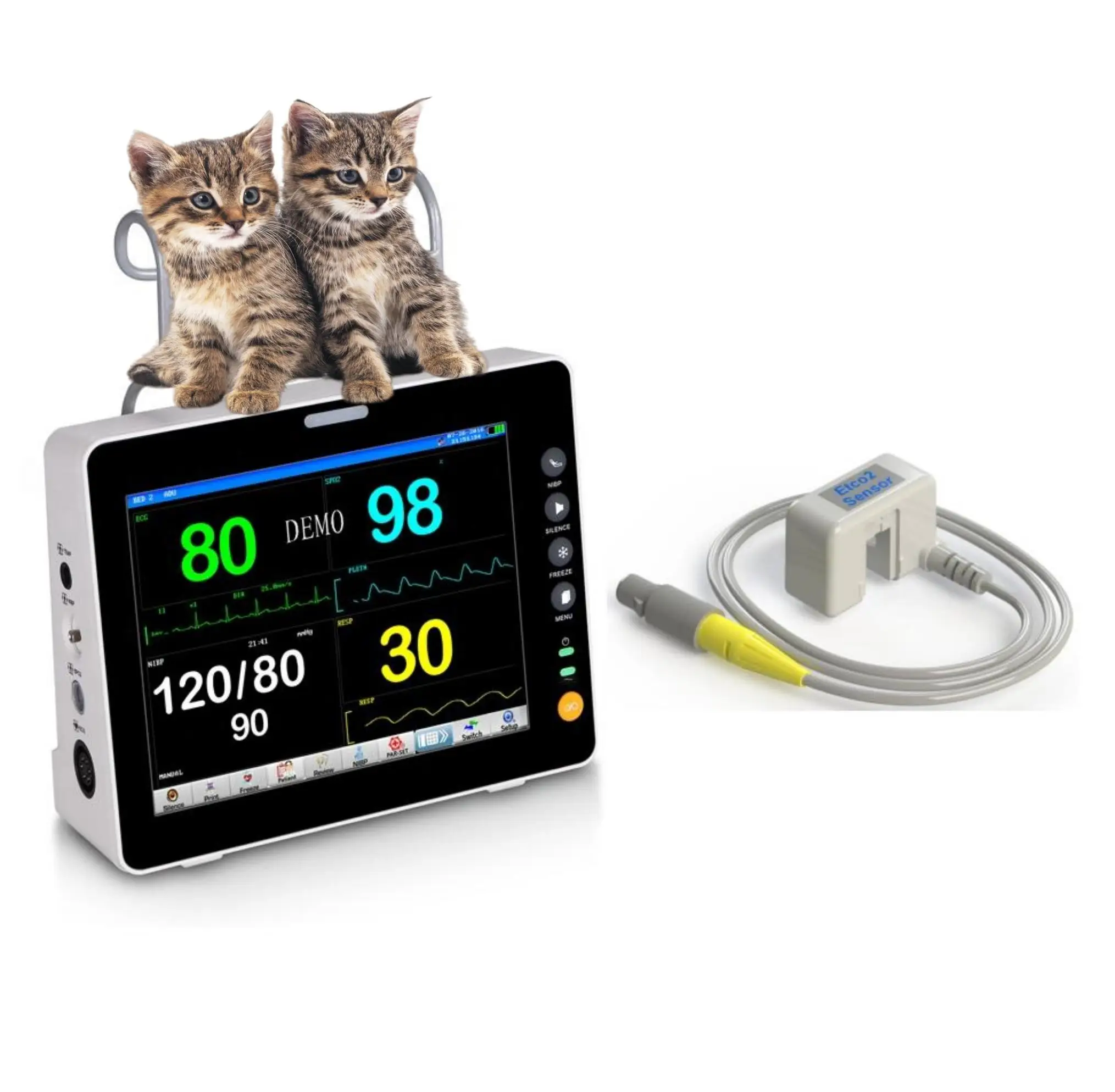 Vet multi-parameter veterinary patient monitor medical equipment surgery hospital animal monitor blood pressure veterinary blood
