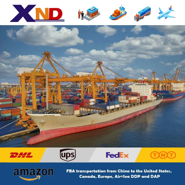 Cooperate Logistics Sea Freight Container Transportation Door To Door Shipment Ratings To Dakar Kenya Inexpensive Chinese agent