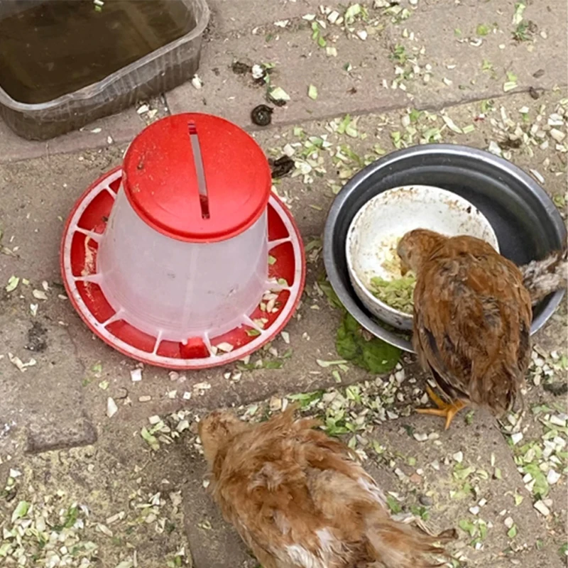 Wholesale poultry drinker feeder automatic chicken feeders and drinkers 1.5kg 3kg 6kg 9kg 12kg poultry feeder