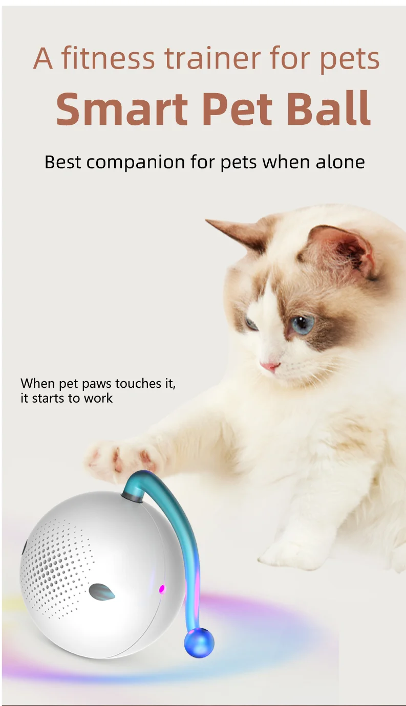 WP8631----_04.png