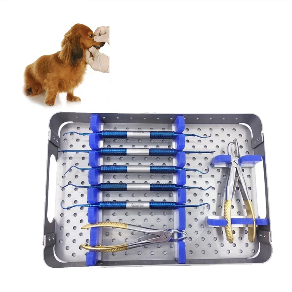 Wholesale Medical Veterinary Dental Stainless Steel For Oral Surgery Instrument Set