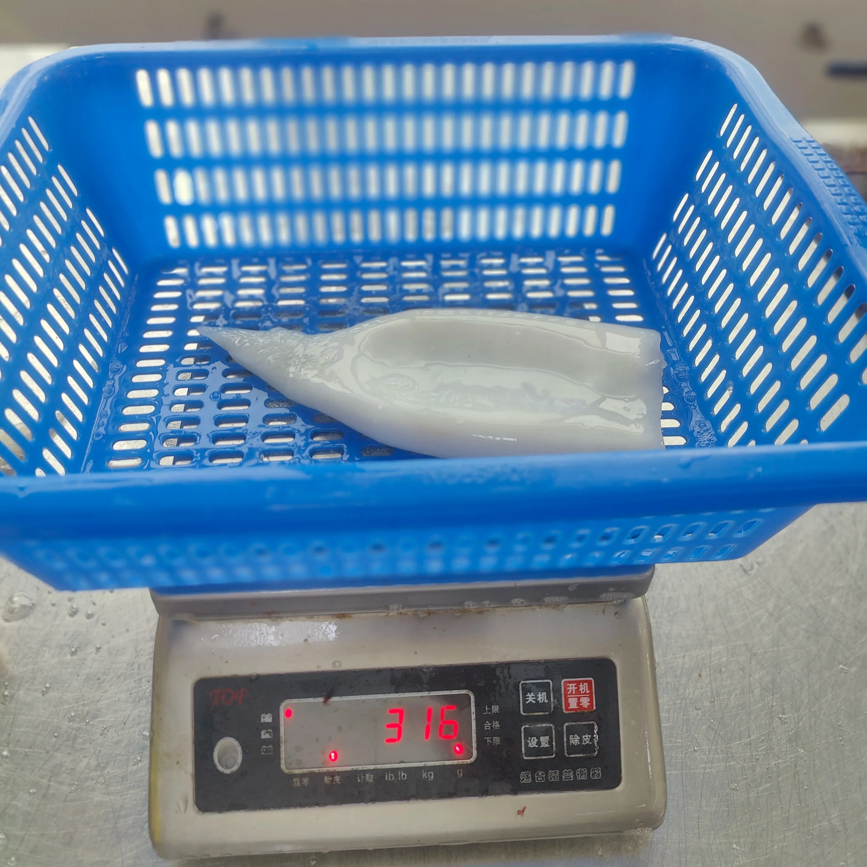 Frozen Whole Squid And Squid Tube made in china frozen peru gigas squid tube