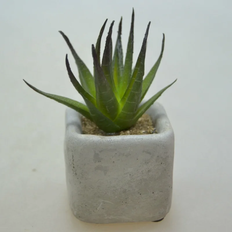 Classic Green Indoor Decoration Small Potted Artificial Succulent Plants Custom